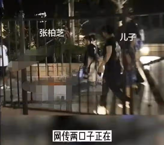生下三胎5年後!張柏芝「罕帶小兒子出門」被捕獲 知情人爆「生父1身分」暗藏玄機
