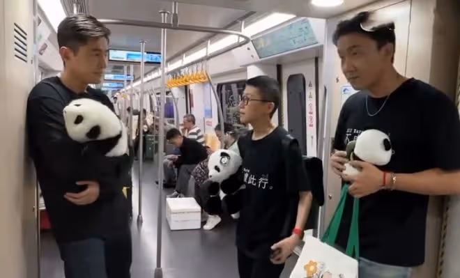 胡歌抱熊貓坐地鐵被偶遇,脖頸青筋凸,皺紋明顯,無人讓座惹爭議
