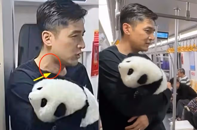 胡歌抱熊貓坐地鐵被偶遇,脖頸青筋凸,皺紋明顯,無人讓座惹爭議
