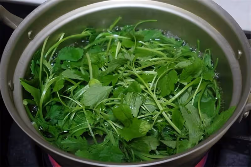大家都知道益母草功效好，看看新鮮益母草的正確煮法，方法很簡單