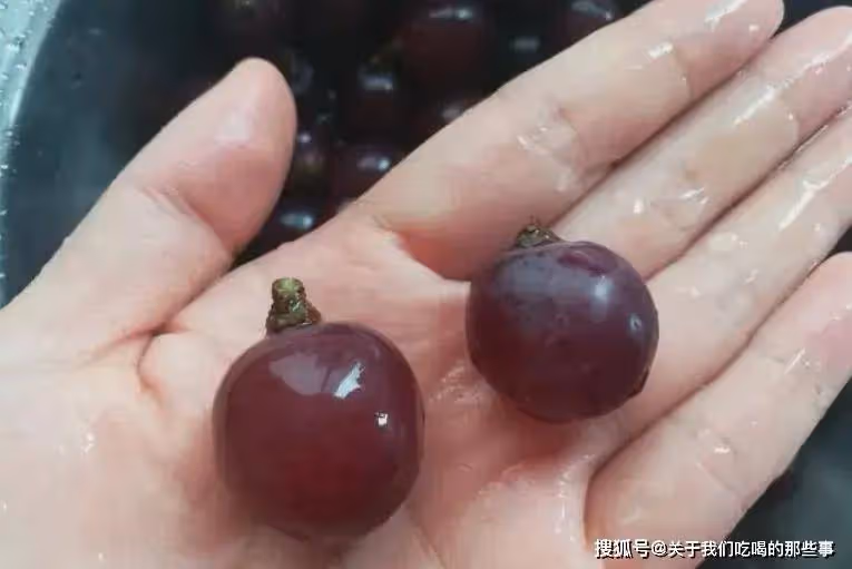 洗葡萄時,有人用鹽,有人用面?老果農說:都不對!教你正確做法