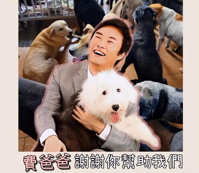 費玉清捐款100萬救助流浪貓狗,晚年靠收租每月高達60萬