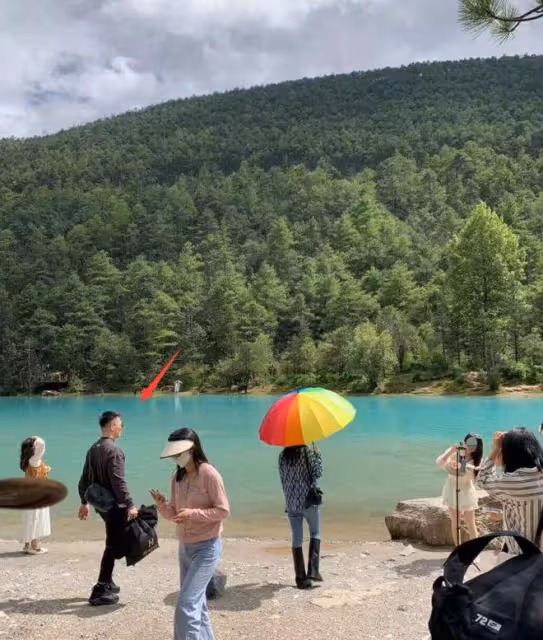 藍月谷偶遇張馨予夫婦,何捷全程蹲著幫老婆拍照,背影被贊帥氣