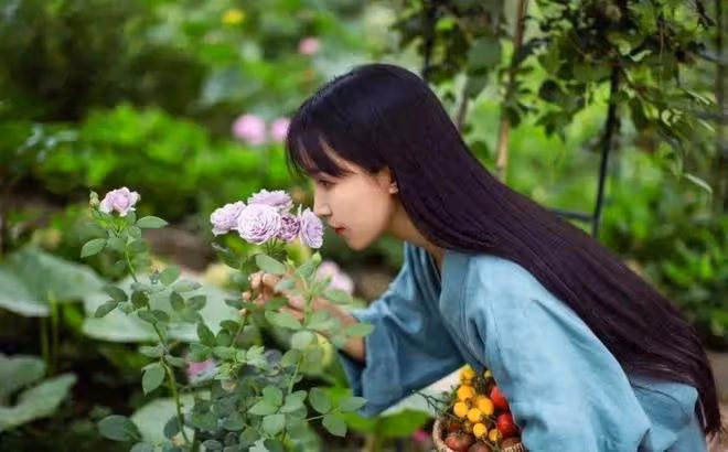 李子柒回歸將創作新的內容,用自己的方式講好農耕文化故事