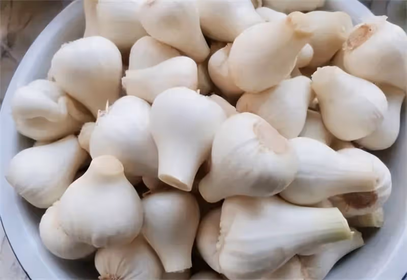五斤大蒜腌糖蒜的比例是多少？五斤蒜放多少糖和醋？