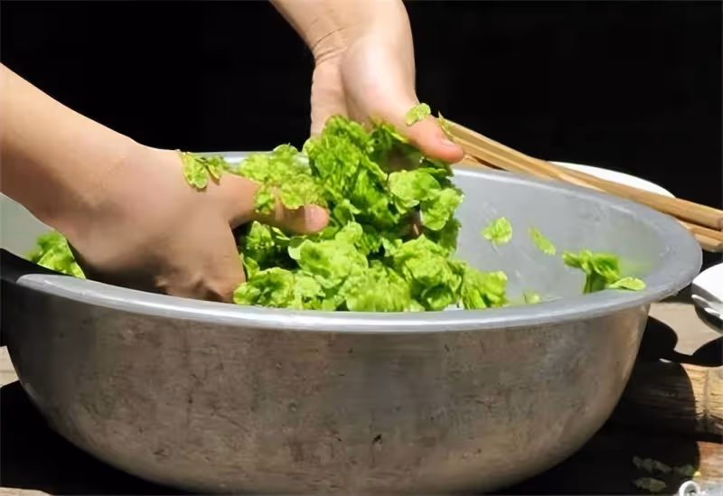 榆錢為什麼在烹飪之前要焯水?榆錢吃的多了有毒嗎?