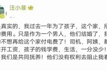 張穎穎與汪小菲和好，雙方團聚過年旅遊，男方忽視母親張蘭的感受
