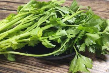 麵粉別只蒸饅頭了，加一把芹菜，不發麵，層層裹著餡料，超好吃