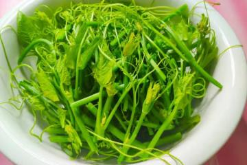 佛手瓜苗新鮮上市，簡單一炒，鮮嫩爽口，大人小孩都愛吃