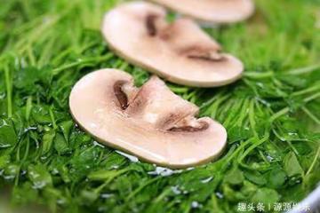 精選美食:豆苗蘑菇湯,豆苗丸子湯,辣椒炒肚絲,香菜炒牛肉做法