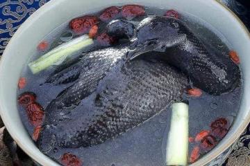 枸杞紅棗烏雞湯貴也要喝，鮮嫩美味，增強身體免疫力，全家都喜歡