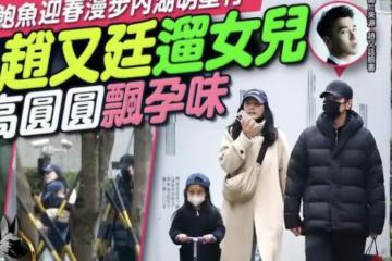 高圓圓疑似懷二胎，跟趙又廷恩愛如連體嬰