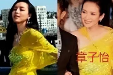 被稱為「小章子怡」的她,被「造黃謠」,淪為糊咖