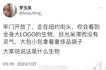 鳳姐諷刺國人紐約購物毫無靈氣，對網友的嘲諷耿耿於懷格局太小
