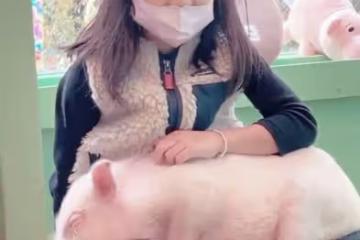 賈靜雯帶娃出遊,不忘攜70歲母親同行很孝順,波妞人小膽大想養豬