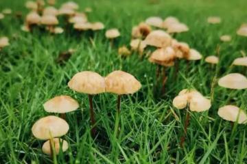 69歲大爺苦訴:老伴過世以後,小姨子就住在我家不走,可愁死人啦
