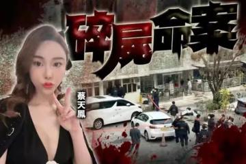 後續來了!蔡天鳳被殺細節曝光,用人體組織煲湯,億萬家產難分配