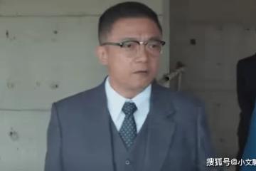 《情滿九道灣》大結局:楊樹茂蹲監獄,葉菲攜子改嫁富商,楊母后悔