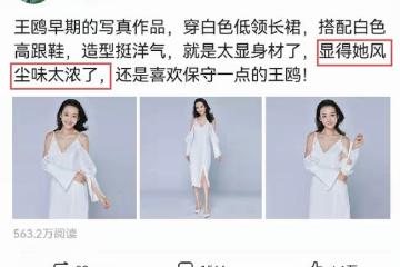 王鷗早期寫真被翻出,穿低領裝秀曲線美,被指「風塵味太濃」