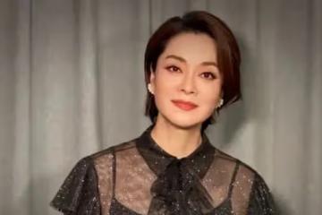 毛阿敏的悲喜人生:39歲嫁富豪,丈夫離世留下260億遺產無法接管