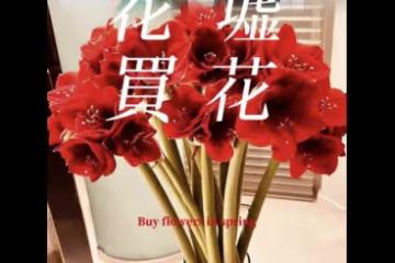 向太婦女節買花寵兒媳，郭碧婷甜喊媽媽，麥克風意外搶鏡像擺拍