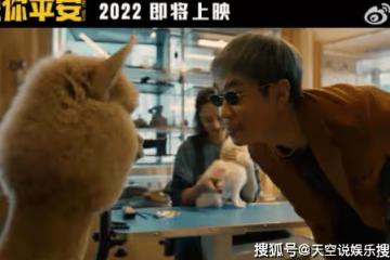 電影《保你平安》後勁有多大?《保你平安》看點都有哪些?