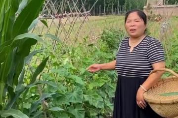 農村會姐:做4年主播,全款在縣城買了3套房,到底憑什麼吸金的