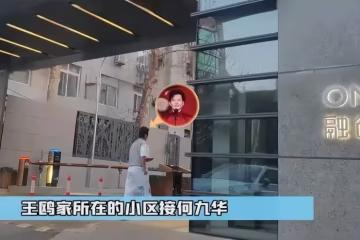 同居試婚?曝何九華搬進王鷗5000萬豪宅,孟鶴堂親自開車負責接送