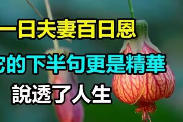 俗語：「一日夫妻百日恩」 其實下半句才是精華 卻鮮有人知