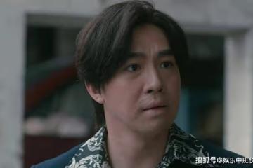 《他是誰》兩個疑點，三大佐證，八八案的真兇會是趙世傑嗎？
