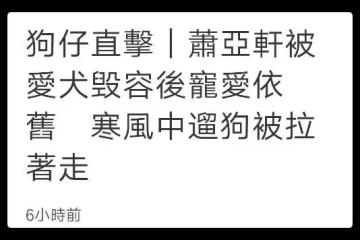 蕭亞軒在街頭獨自遛狗,被咬毀容也不離不棄,和小16歲男友仍分居