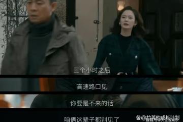《他是誰》衛國平的那個噩夢，早已暗示聶小雨葬江的結局，太悲哀