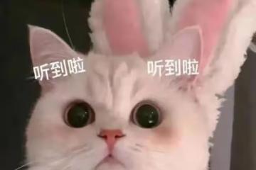 是新的開始嗎？