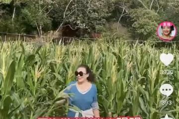 張蘭新年惦記孫子孫女!點贊支持汪小菲復婚,表態希望孩子回北京