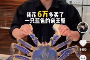 白冰花6萬買了一隻藍色帝王蟹，網友：網紅比明星有錢多了