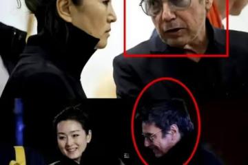 說鞏俐代表法國來訪問中國只為炫耀的，原因是鞏俐的新加坡國籍吧