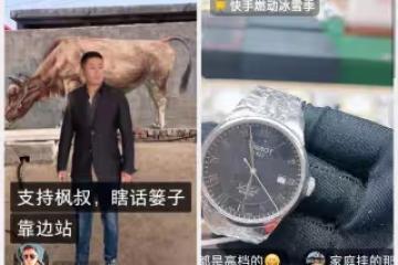 難以置信！楊樹行八卦主播全軍覆滅