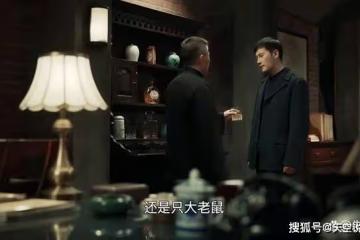 《無間》原來沈嘯被閃官暗算,全是因為她,陸風花向雨都沒想到