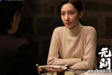 《無間》沈嘯自爆臥底身份,陸風與虎謀皮合作牧溪鶴,閃官終於下線
