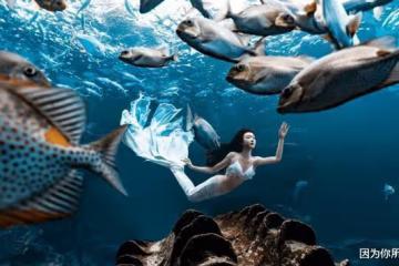 演員宣璐曬「美人魚」照,在魚群中姿態優雅,雙腿修長皮膚白
