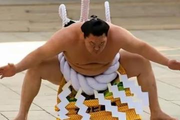 日本相撲又肥又丑,為何日本女孩爭著嫁?原因很簡單