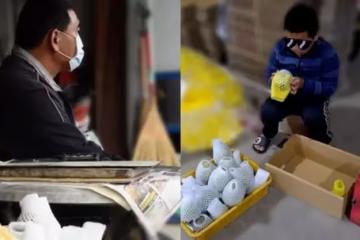 我不能倒下！爸爸撐病體「種釋迦撐六口生計」每天和時間賽跑　「10歲兒包裝出貨」想替爸爸一起分擔