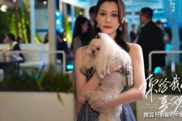 《你給我的喜歡》閔慧一身性感黑絲，與辛旗瘋狂一夜，辛旗：真是磨人的小妖精
