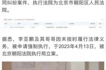 李亞鵬欠4000萬成被執行人，王菲跟他離婚或與他投資失敗有關