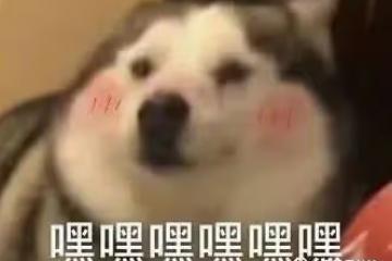 誰的DNA動了…
