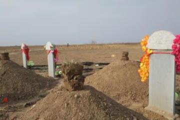 村裡沒有人認為李寡婦是個女人,她死後,村長在墳上給她立了塊碑