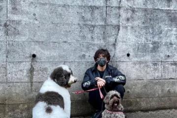 木村拓哉孤身一人遛狗，網友：是不是嫌妻女熱衷曬圖出門躲清靜？