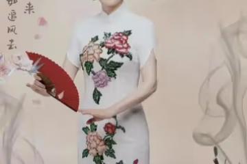 這一次,一向嬌滴滴的何賽飛怒了,明星收入的「底褲」都被扒掉了