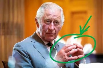 網傳查爾斯剛加冕就策劃葬禮？健康或不容樂觀，卡米拉又動歪心思