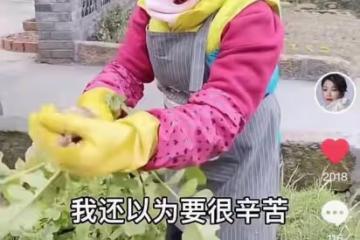 港星劉玉翠現身鄉村生活!親自下地幹活洗菜生柴,打扮簡樸似村婦